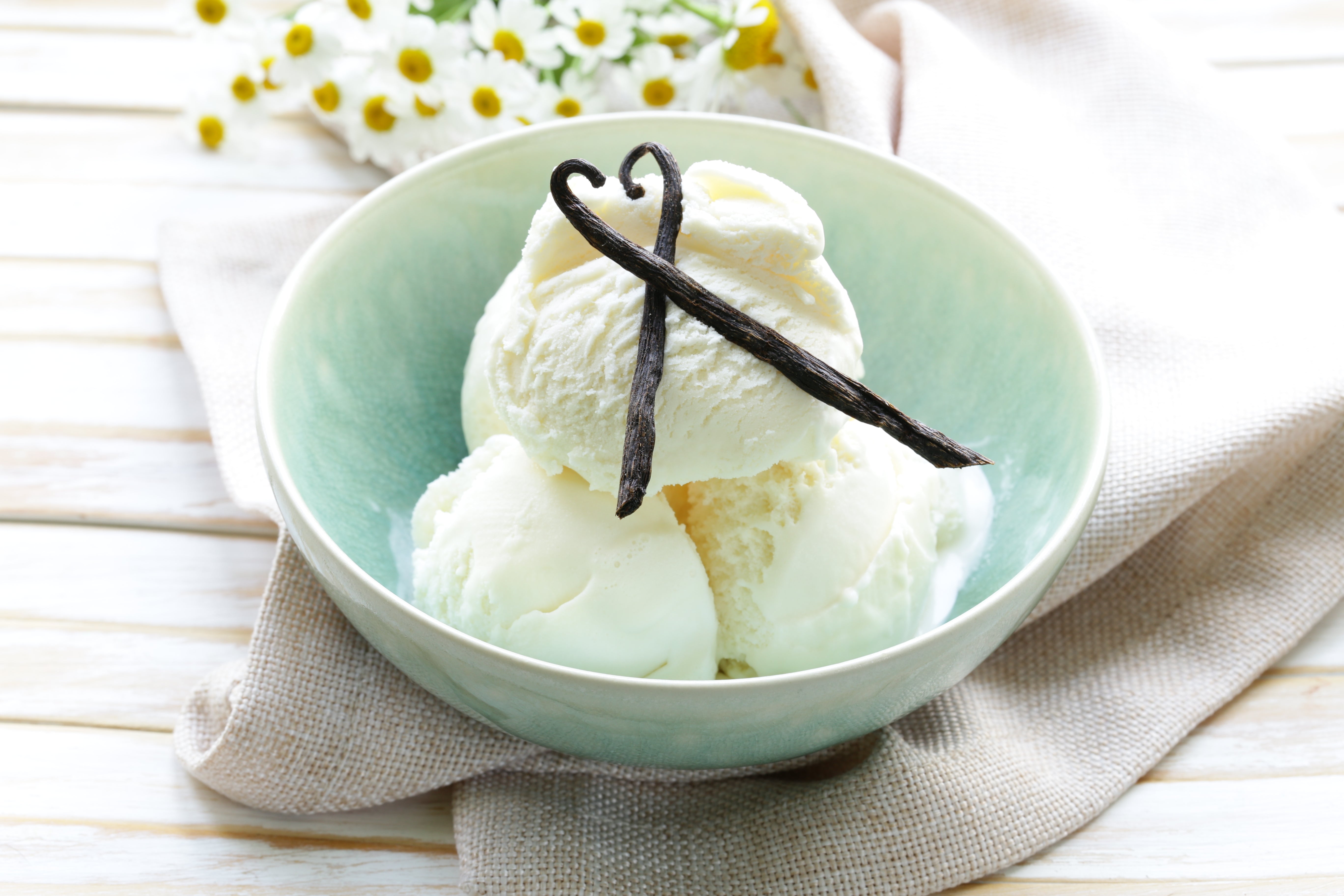Milky-Vanilla Ice Cream